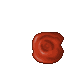 Blood Tear