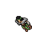 Druid Rival