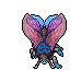 Hibernal Moth