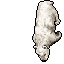 Lonely Polar Bear