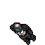 Midnight Warrior