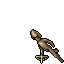 Mitmah Scout