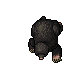 Mole