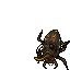 Mycobiontic Beetle