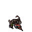 Pirat Guard
