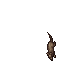 Spy Rat